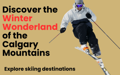Calgary Mountains in Winter: Skiing, Scenic Drives, and Snowy Adventures Await