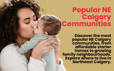 Popular NE Calgary Communities: Where Affordability Meets Opportunity